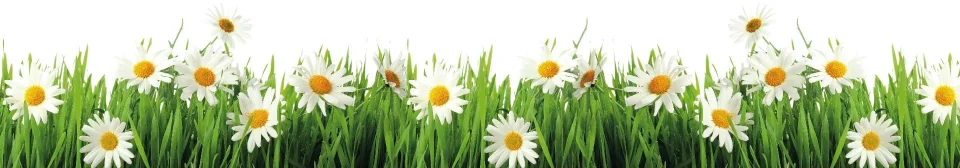 Model #100621