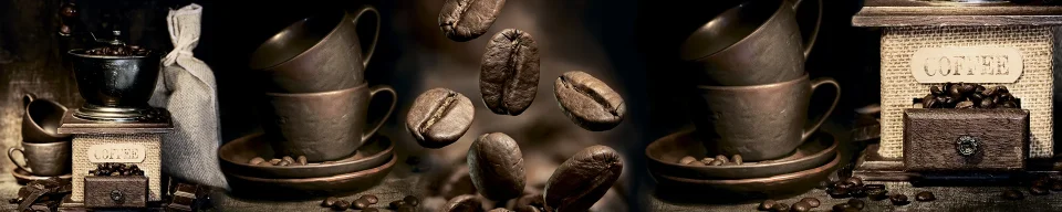 Model #101790