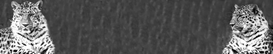 Model #116728