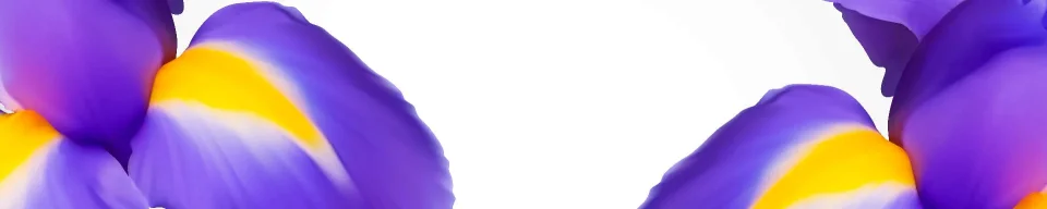 Model #150455
