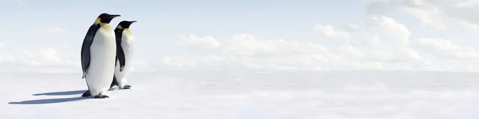 Model #150462