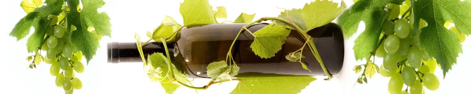 Model #151791