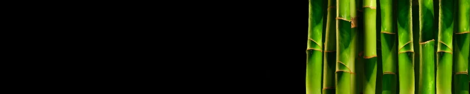 Model #155064