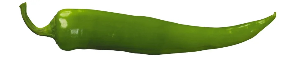 Model #155321