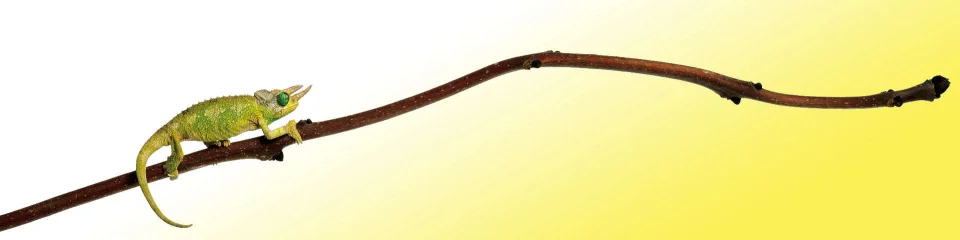 Model #159895