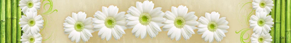 Model #162580