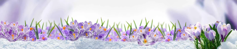 Model #162817