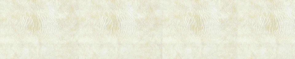 Model #166281