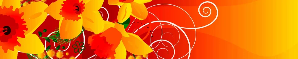 Model #177569