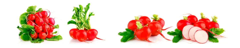 Model #189994
