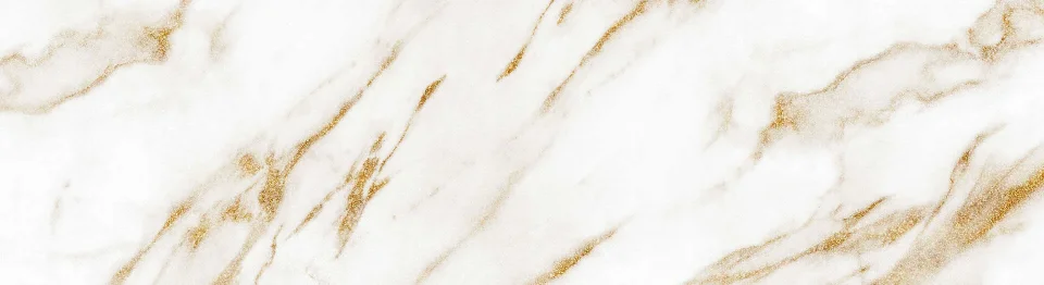 Model #234100