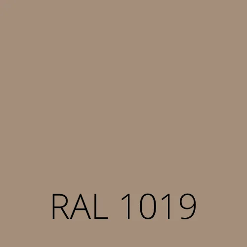 Sticlă colorată RAL 1019 - gri bej