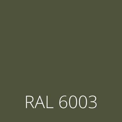Sticlă colorată RAL 6003 - oliv verde