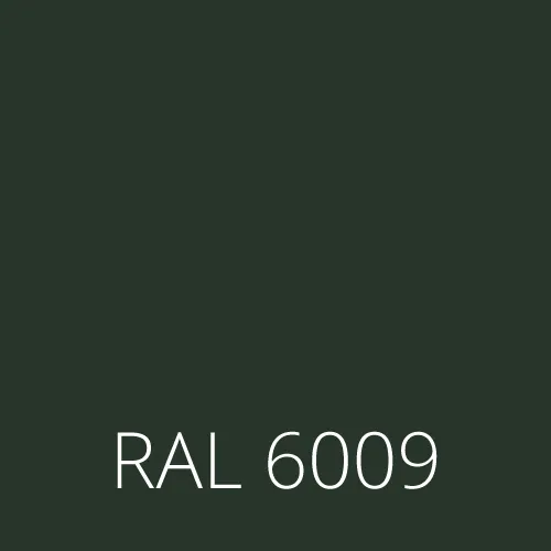 Sticlă colorată RAL 6009 - brad verde